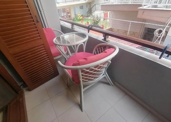 酒店 维克酒店 萨尔蒂