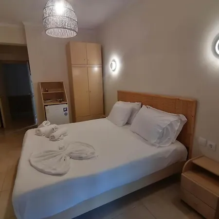 Hotel Viky