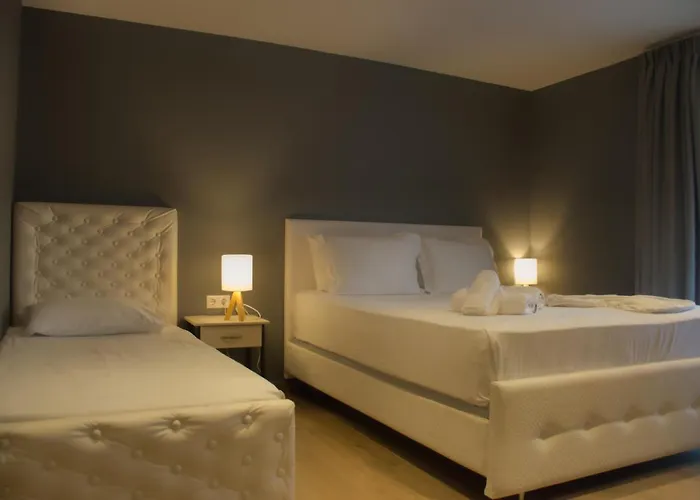 Hotel Viky