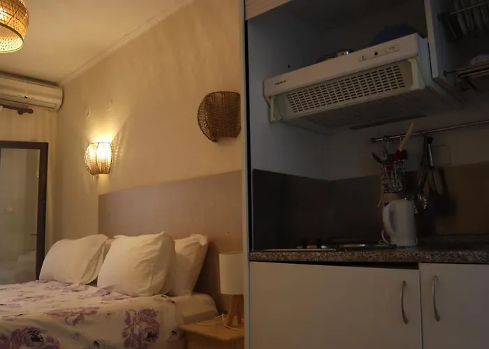 Viky Hotel